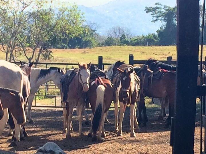 Hotel Hacienda El Rodeo Vueltas Eksteriør billede