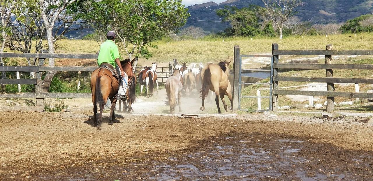 Hotel Hacienda El Rodeo Vueltas Eksteriør billede