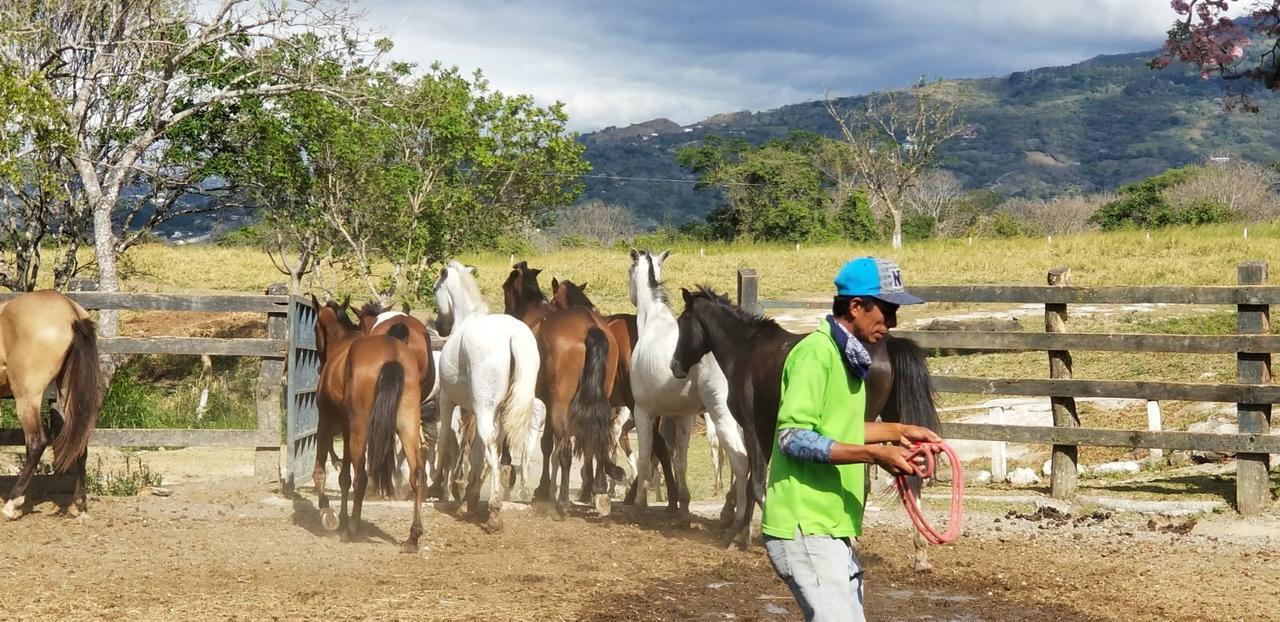 Hotel Hacienda El Rodeo Vueltas Eksteriør billede